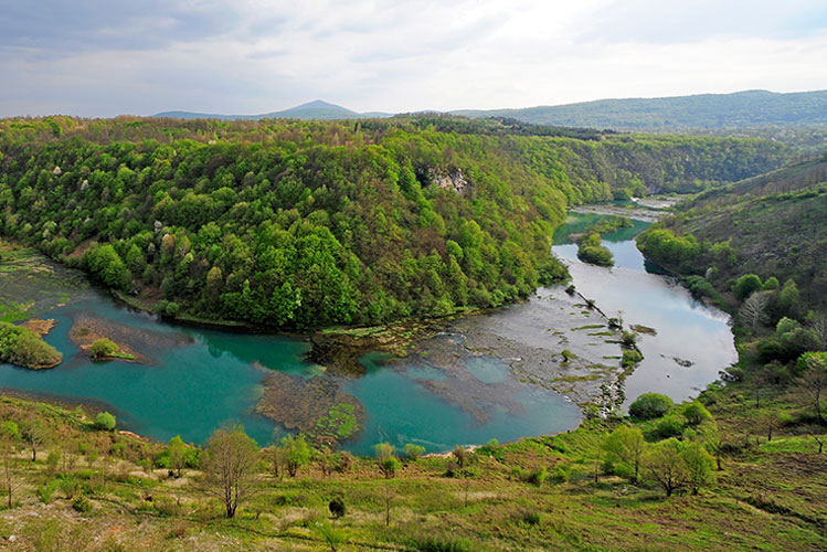 Kupa River